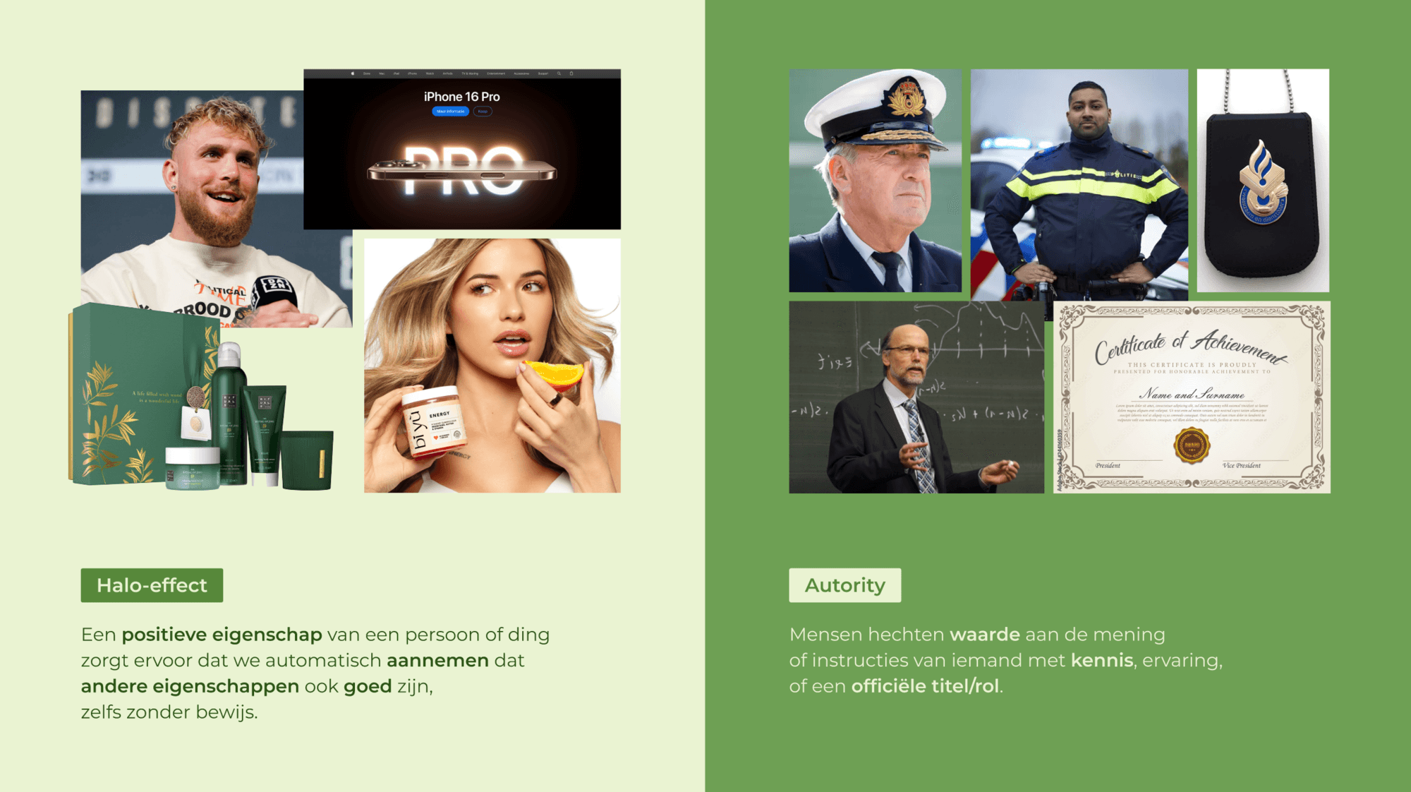 Workshop slide 4
